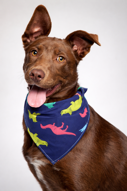 Cotton Triangle Scarf for Dogs - Pet Saliva Scarf