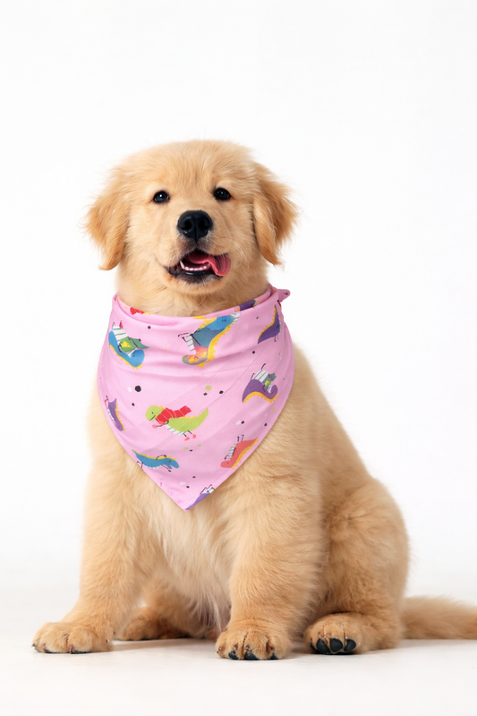 Cotton Triangle Scarf for Dogs - Pet Saliva Scarf